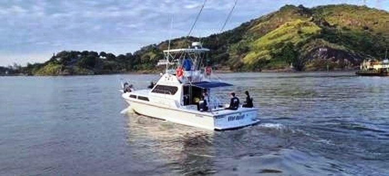 Pesquisadores registram jubarte passando por litoral do ES antes do início da temporada