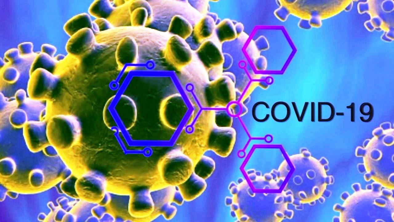 ES chega a 11.041 mortes e 492.387 casos confirmados de Covid-19