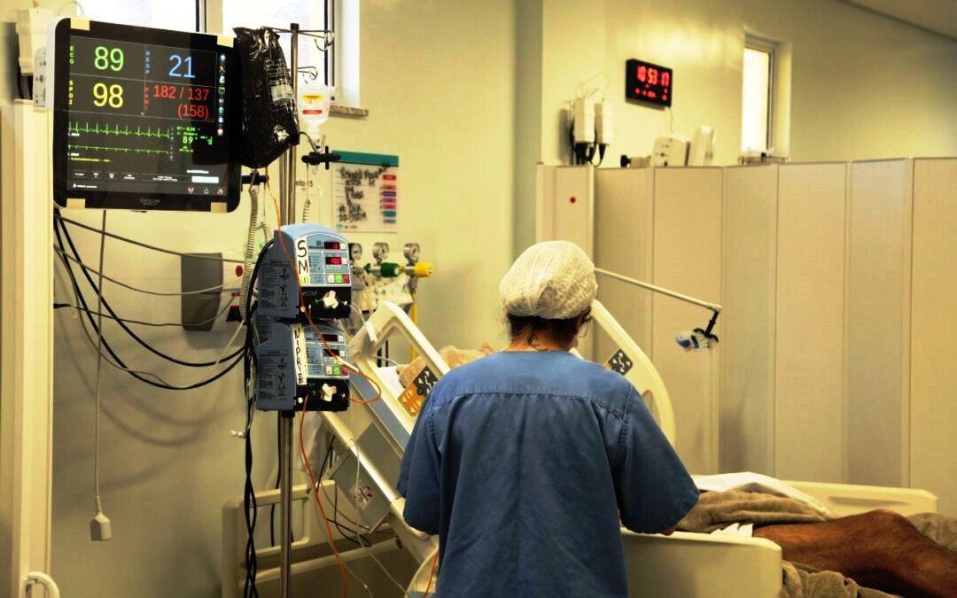 ES registra mais 1.309 infectados pela Covid-19 e vai a 499.839 casos confirmados