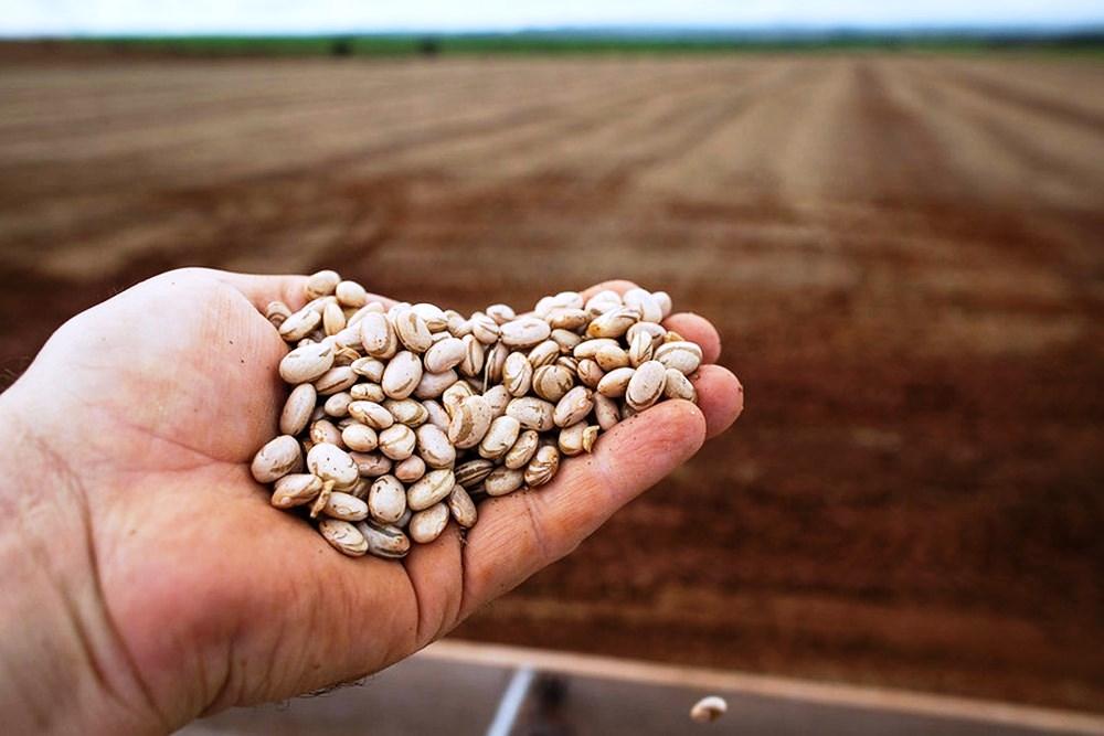 Crise hídrica afeta a produção de alimentos: Veja impacto capo e na mesa