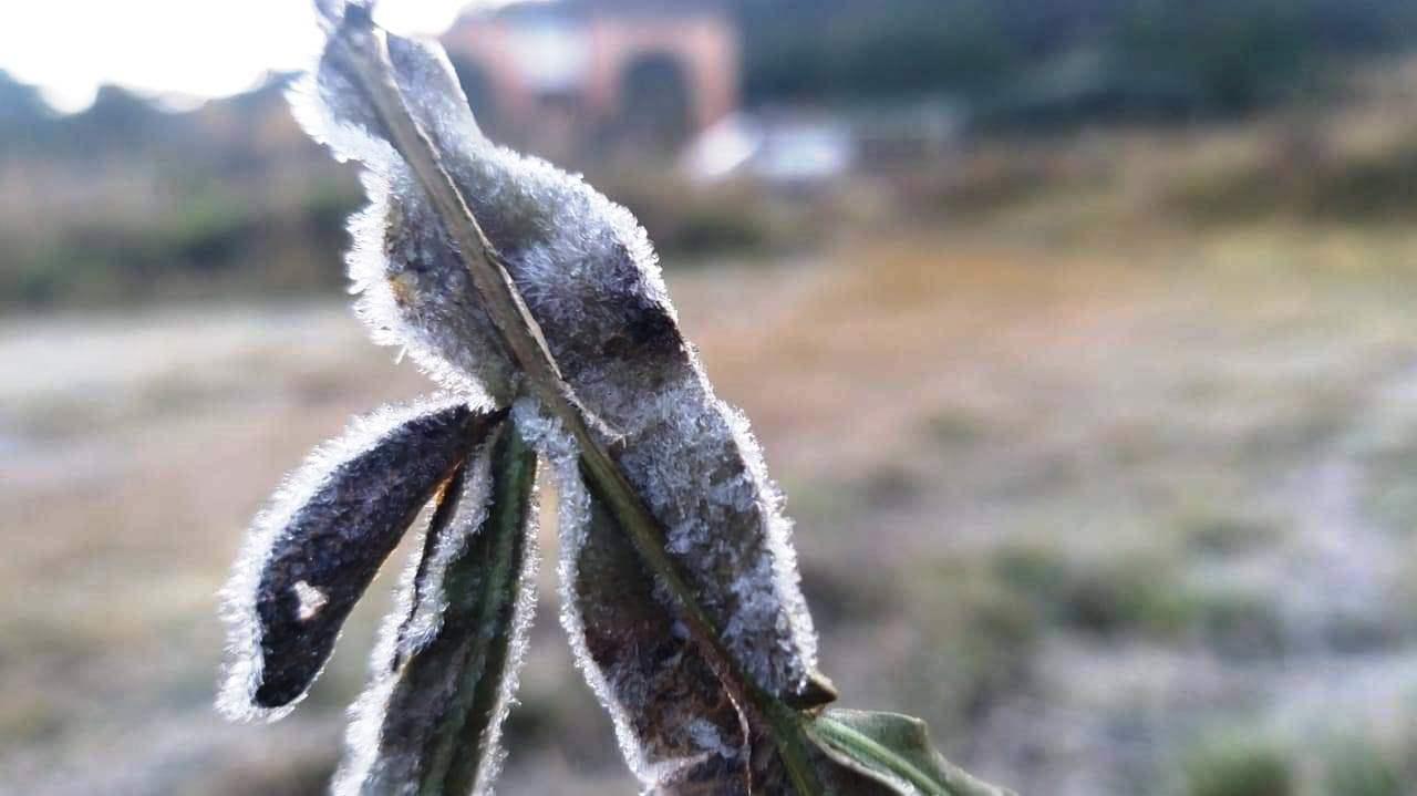 Massa polar chega ao ES, provoca queda nas temperaturas e risco de geadas