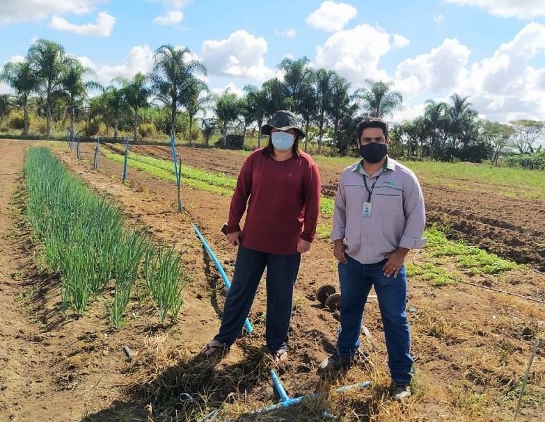 Projeto promove comercialização entre agricultura familiar e supermercados em Pedro Canário