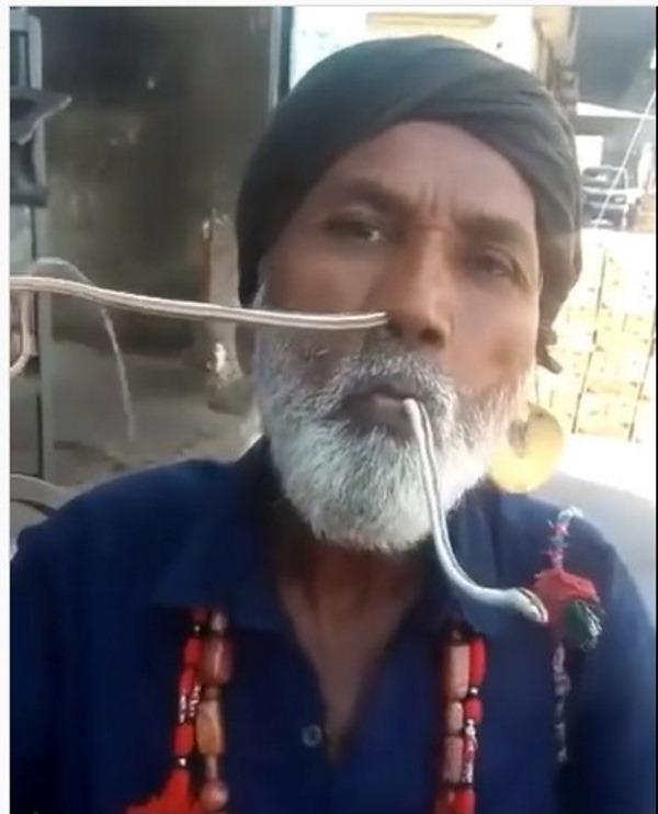 Indiano é encantador de cobras, mas foi criticado nas redes sociais por maus tratos ao animal