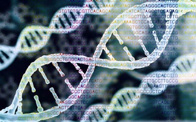 Castração em ovelhas e homens atrasa o envelhecimento, dizem cientistas