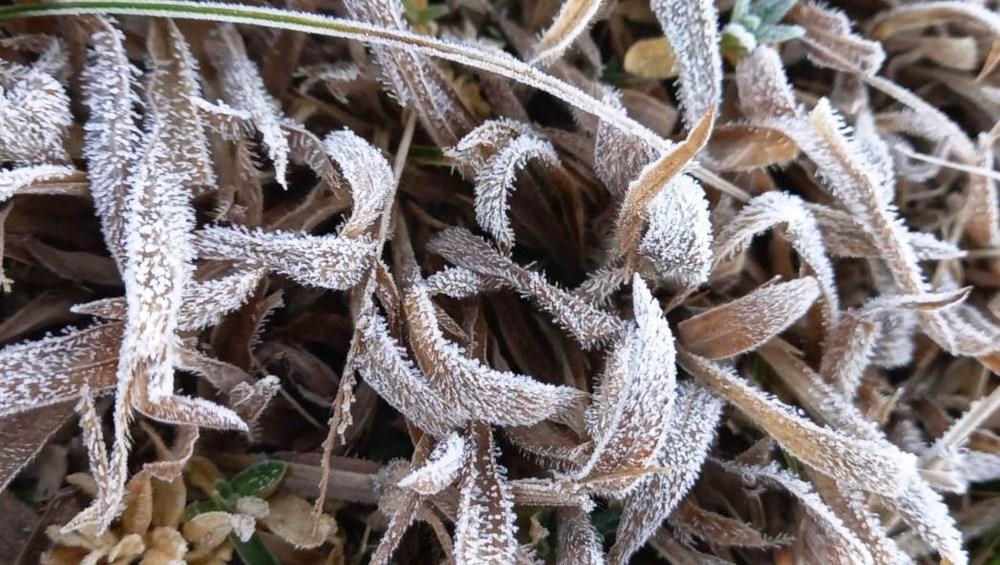 Alerta de risco de geada em regiões do ES continua nesta segunda-feira (2)