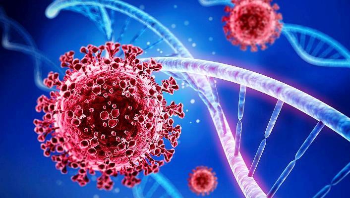 ES chega a 548.106 casos de Covid-19 e ultrapassa 12 mil mortes causadas pela doença