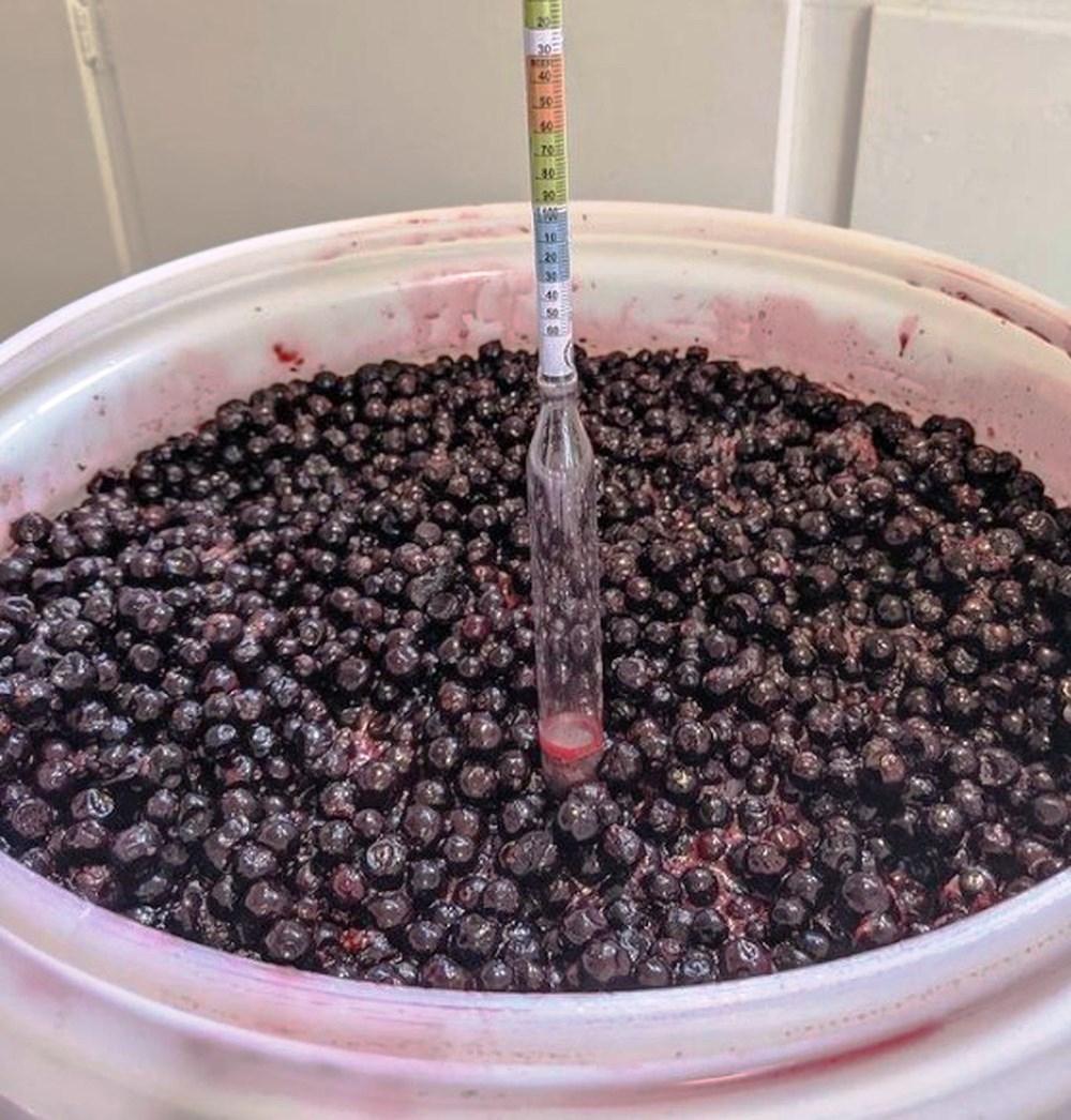 Apaixonado por bebidas artesanais, servidor público do Acre cria ‘vinho de açaí’