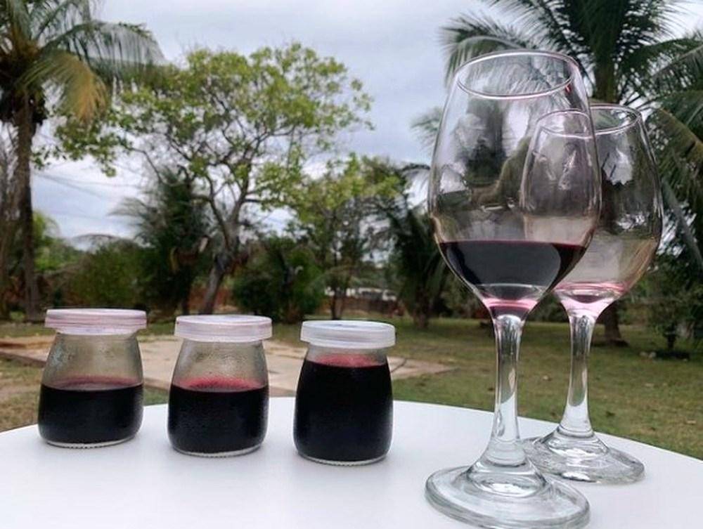 Apaixonado por bebidas artesanais, servidor público do Acre cria ‘vinho de açaí’