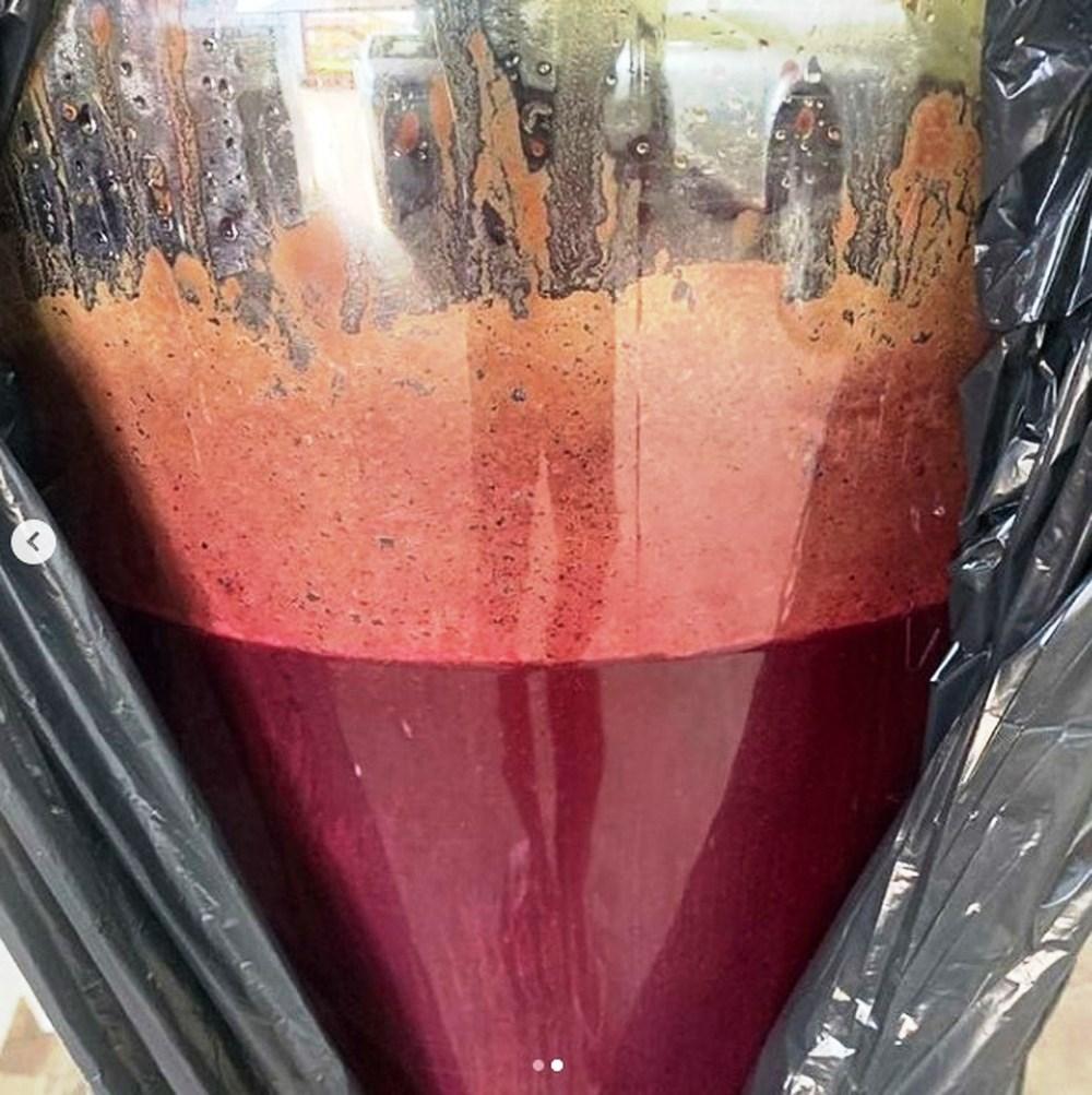 Apaixonado por bebidas artesanais, servidor público do Acre cria ‘vinho de açaí’