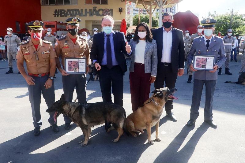 Corpo de Bombeiros realiza formatura de novos sargentos e reforma de cães militares