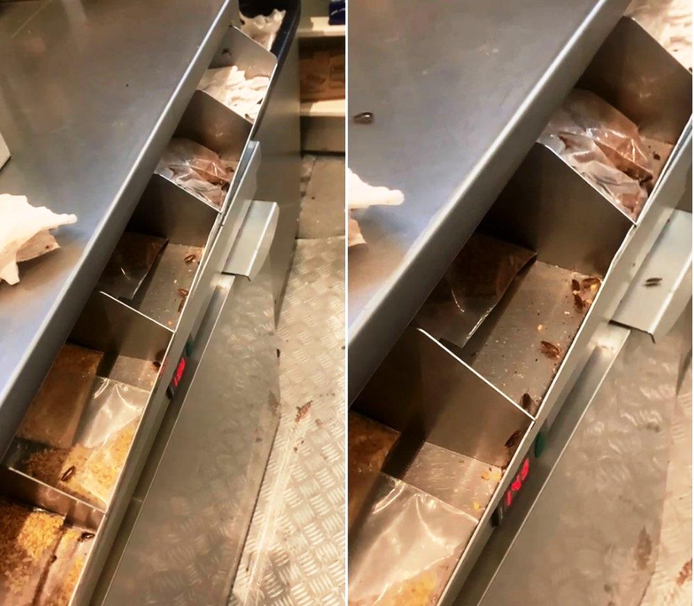 McDonald's é flagrado com baratas dentro de quiosque de sorvetes em shopping, no Piauí