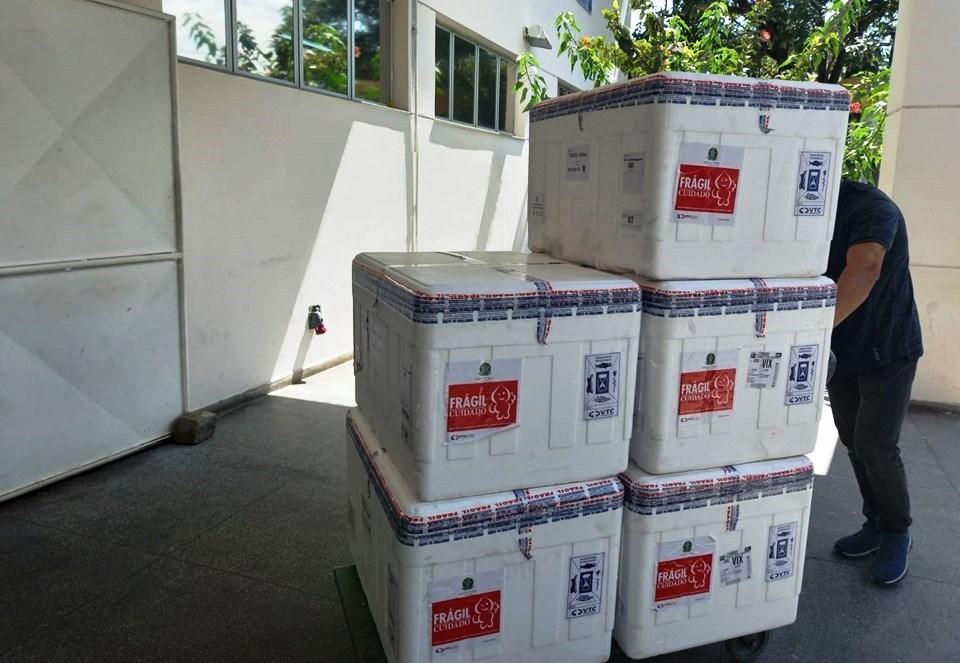 Mais 118.900 doses chegaram para reforçar a aplicação de D2 no Espírito Santo