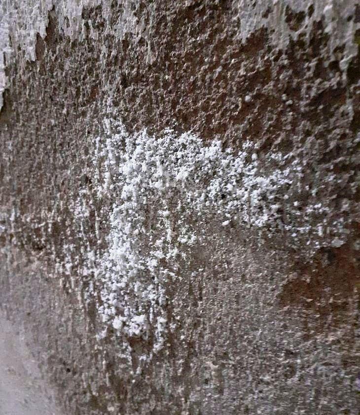 Defesa Civil conclui que pó branco encontrado em casas em Maceió é eflorescência