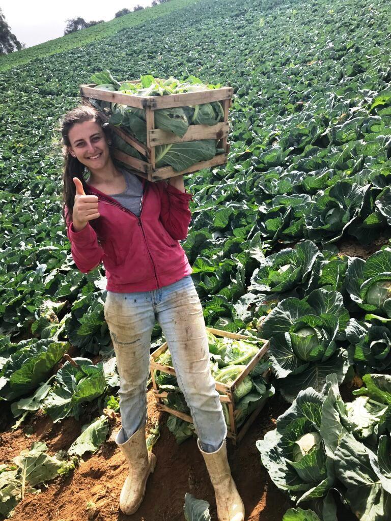 Jamila, a influencer capixaba do agro que não largou a enxada