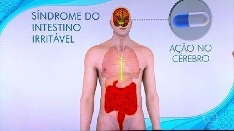 Fez um punzinho e a culpa é dos FODMSPs? Saiba o que é a sigla e qual elo com intestino irritável