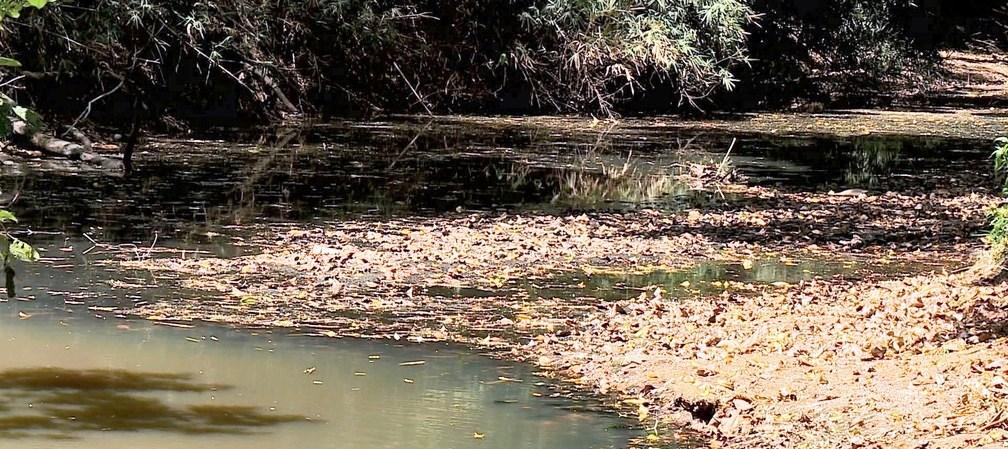 Rio Santa Maria do Doce tem 3% da vazão e afeta abastecimento de água em São Roque do Canaã