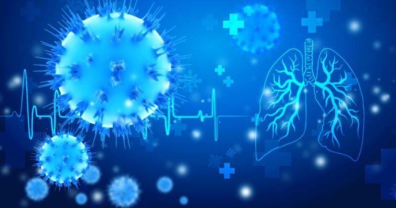 ES tem 638 novos infectados pela Covid-19 e chega a 588.430 casos neste domingo (3)