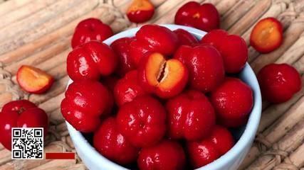 Rainha da vitamina C, a acerola ajuda na menopausa e no estresse