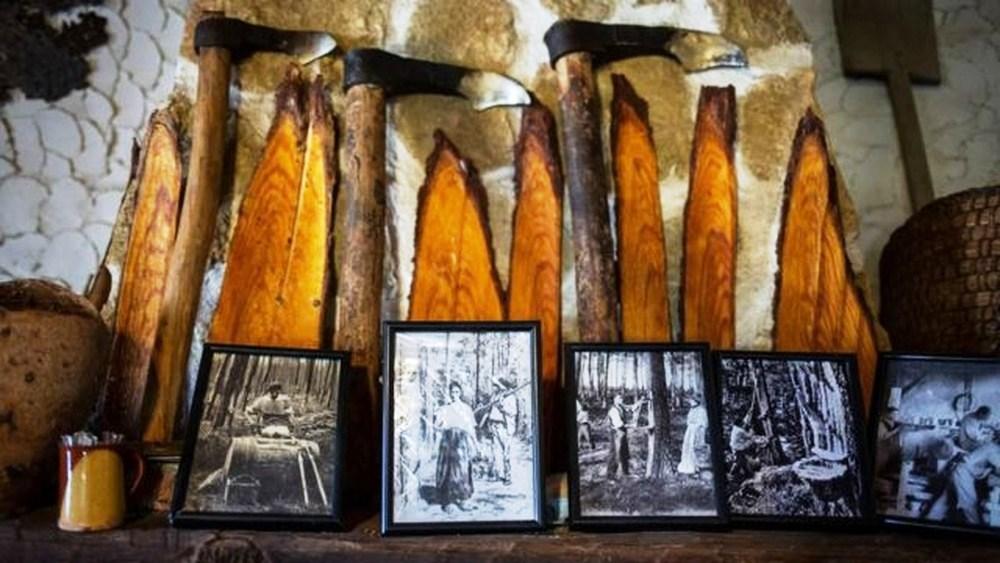 O ‘ouro líquido’ escondido nas florestas da Espanha