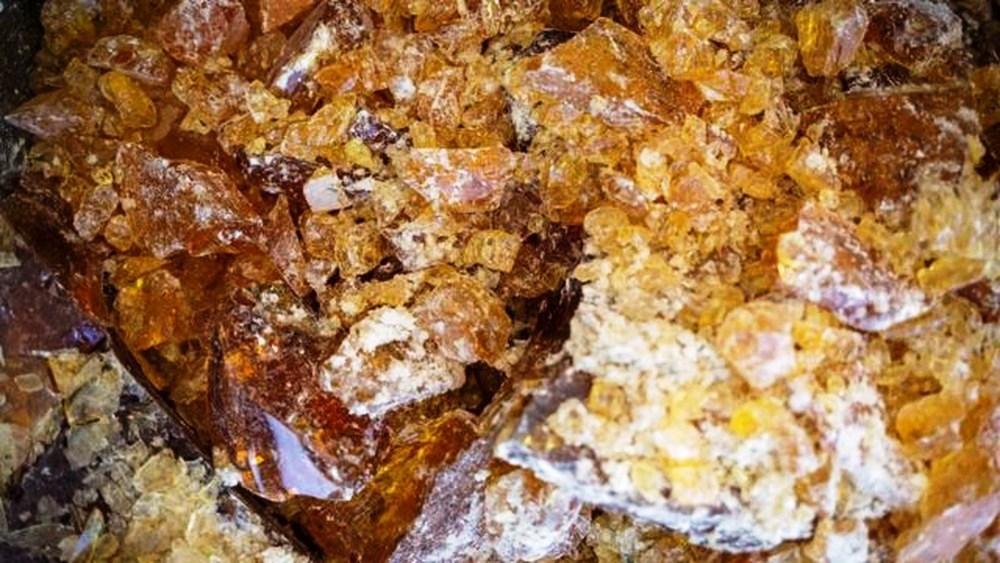 O ‘ouro líquido’ escondido nas florestas da Espanha