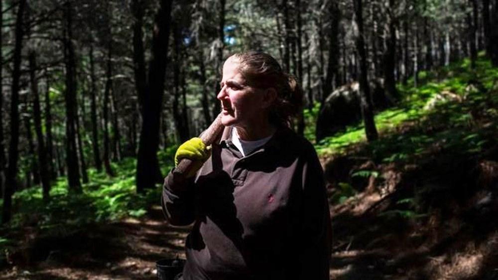O ‘ouro líquido’ escondido nas florestas da Espanha