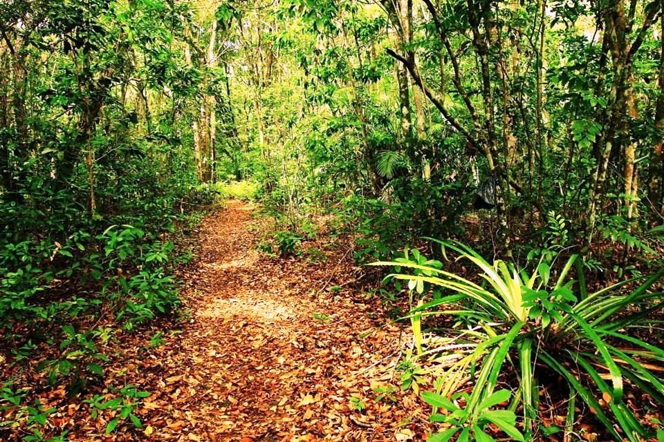 Parque Estadual de Itaúnas realiza caminhada e passeio ciclístico para inaugurar nova trilha