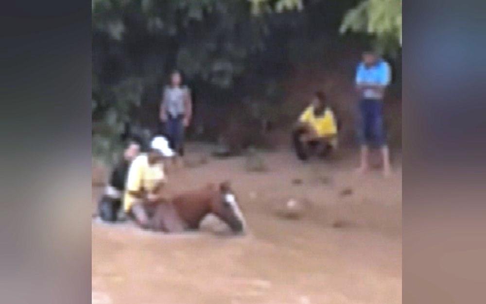 Sem ponte, moradores improvisam gaiola e se arriscam para atravessar córrego