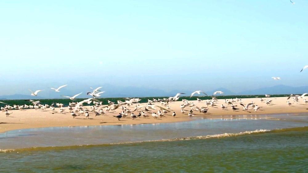 Ilha dos Martins não tem luz e depende de energia solar, mas é destino turístico