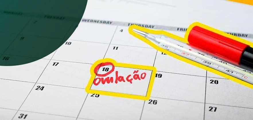 O período fértil é antes ou depois da menstruação?