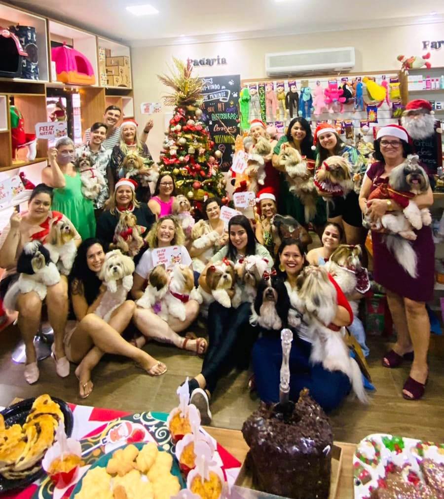 Confraternização de Natal de Shih Tzu arrecada donativos para albergue de cães em Vitória, ES