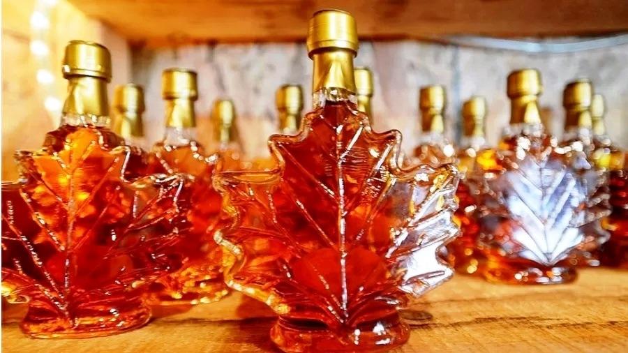 Canadá tem reserva estratégica de xarope de bordo, 20 vezes mais valioso que petróleo