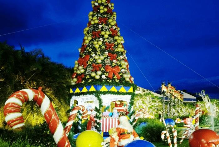 Prefeitura de Pedro Canário inaugura decoração natalina com shows e apresentações culturais