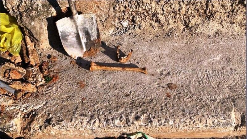 ‘Monstro da Favela Alba’: serial killer preso em SP será julgado em março, acusado de matar 5 pessoas e enterrá-las em casa