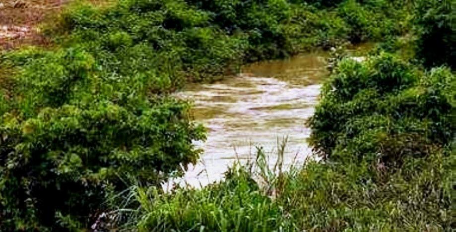 Corpo de menino de 4 anos que estava desaparecido é encontrado em córrego no ES