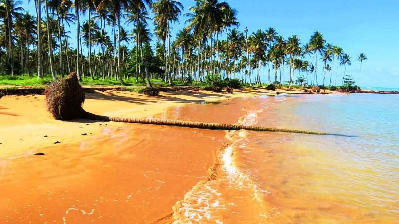 Verão: Saiba o que é permitido e proibido nas praias de Norte a Sul do ES