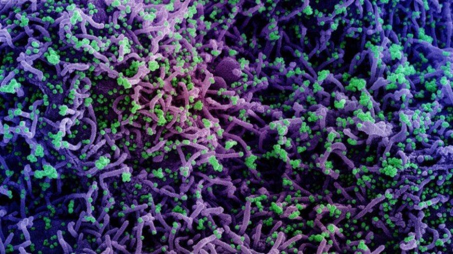 Brasil atinge marca de 23 milhões de infectados pela Covid-19