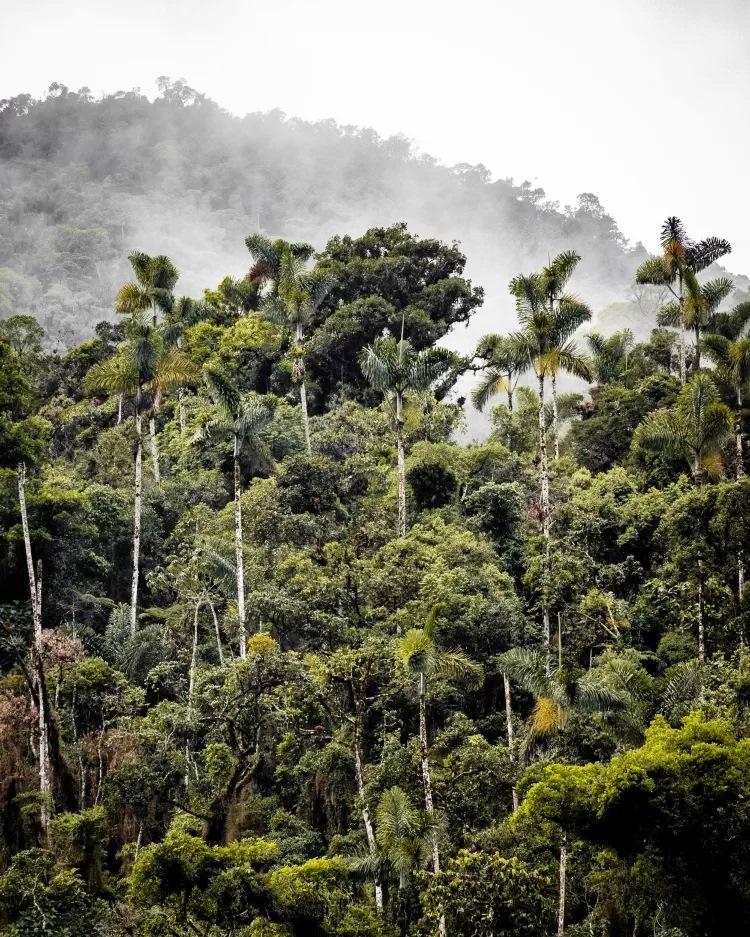 Conheça Akakor, a cidade perdida na Amazônia de onde ninguém volta