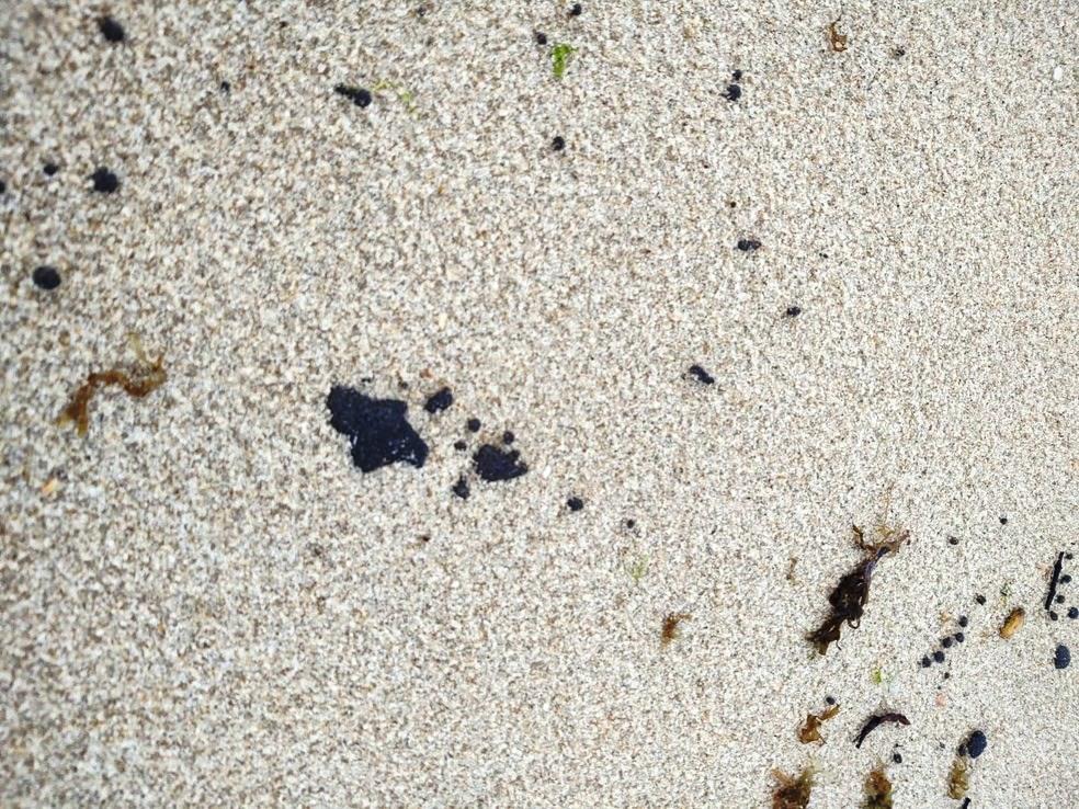 Manchas de óleo atingem Praia do Futuro, em Fortaleza, e outras nove praias do litoral do Ceará