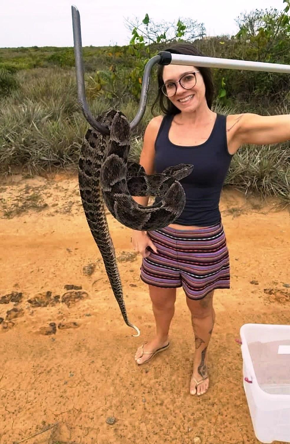Com cheia do Rio Doce cobras ‘invadem’ região de Regência, em Linhares, ES