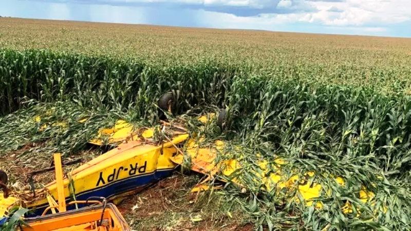 Avião agrícola cai em plantação de milho e piloto morre