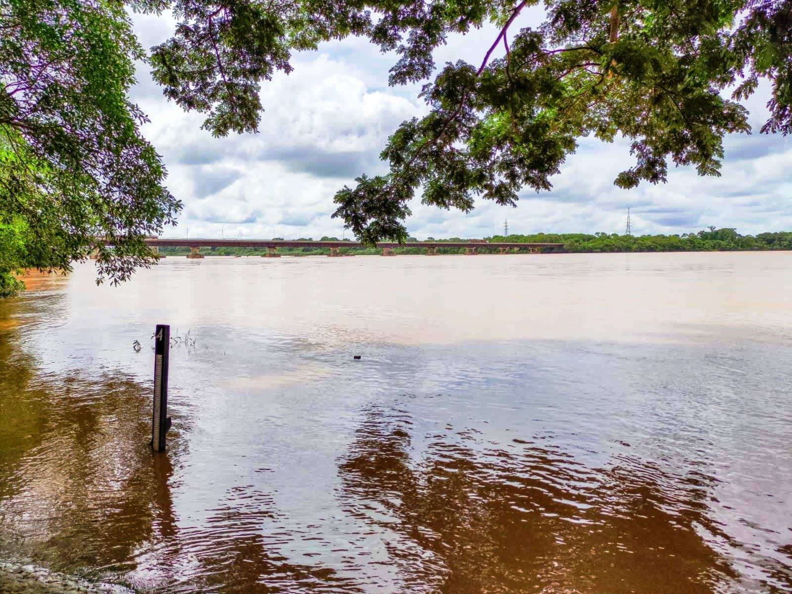 Nível do Rio Doce ultrapassa cota de inundação em Linhares, ES