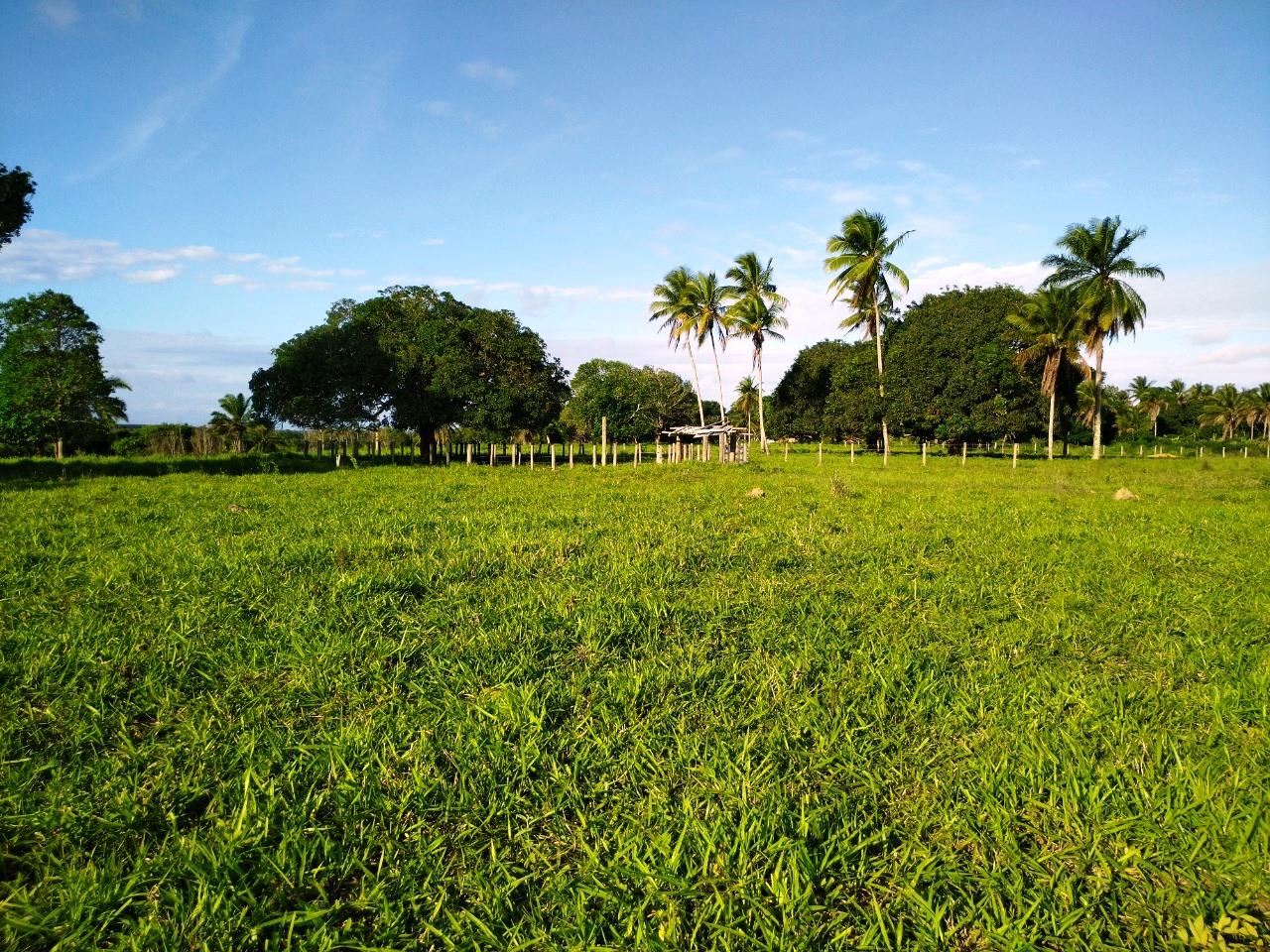 Oportunidade de adquirir seu imóvel rural (chácara) em Itaúnas, Conceição da Barra, ES