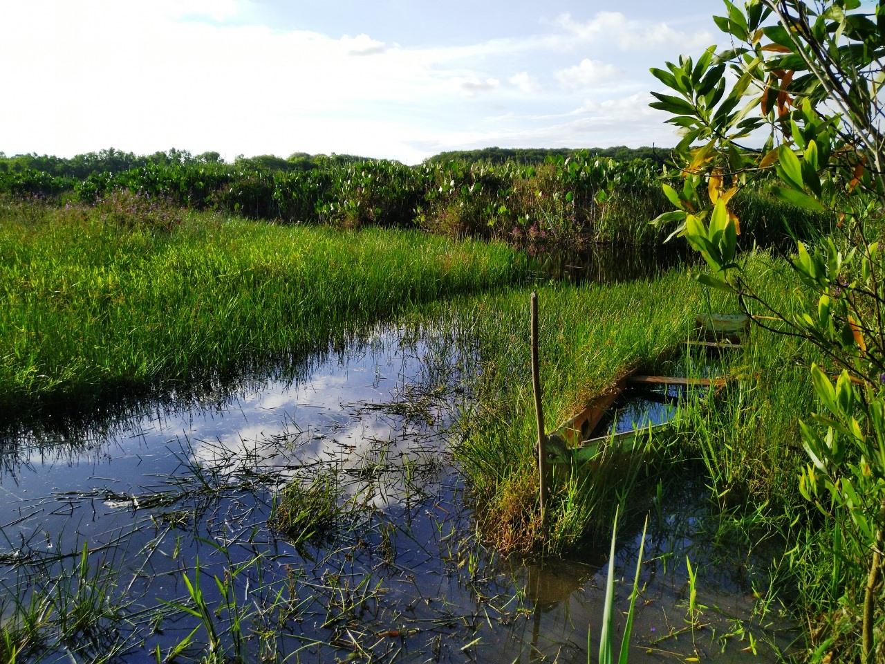 Oportunidade de adquirir seu imóvel rural (chácara) em Itaúnas, Conceição da Barra, ES