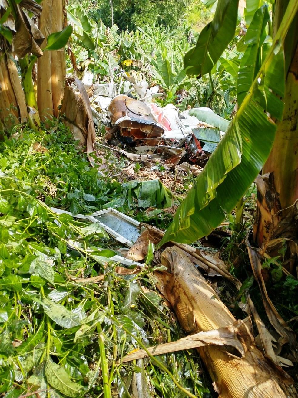 Avião que pulverizava bananais cai no interior de SP; piloto morreu