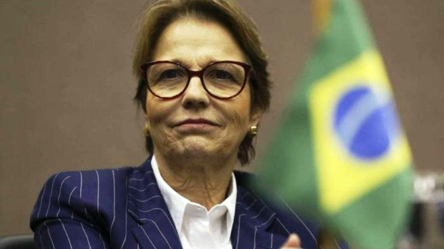 Governo deve lançar programa para produção de fertilizantes neste mês