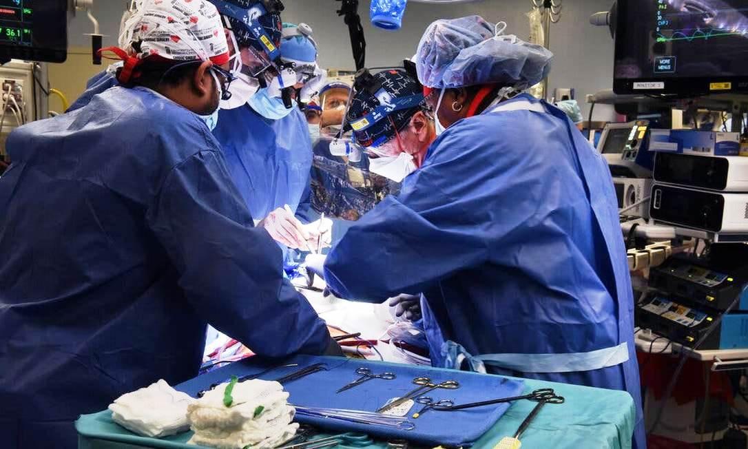Paciente morre dois meses após transplante inédito de coração de porco