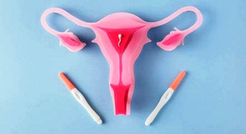 Cólicas menstruais intensas podem ser sintoma de endometriose