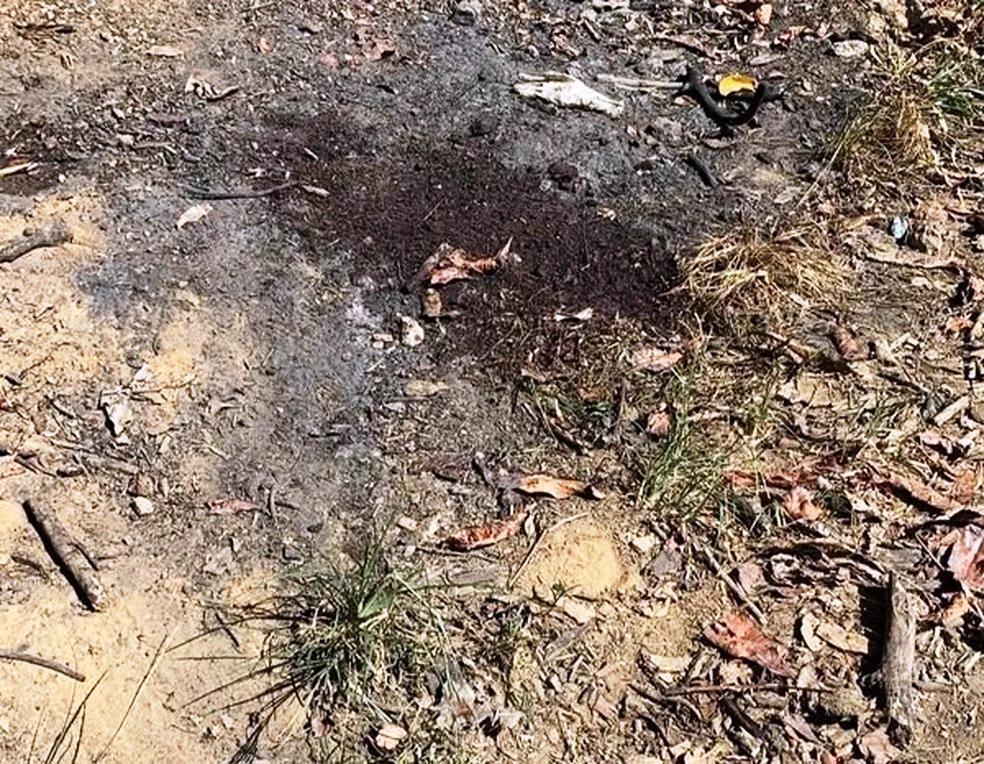 Homem é assassinado com golpes de facão, no ES