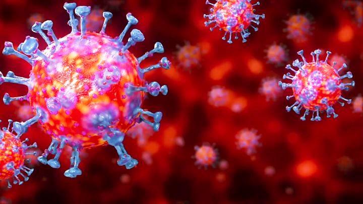 ES registra 426 novos casos e 11 mortes por Covid-19 nas últimas 24 horas