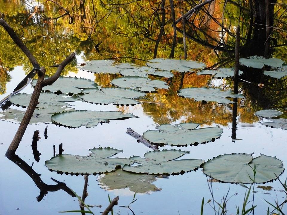 Parque Estadual de Itaúnas recebe exposição fotográfica